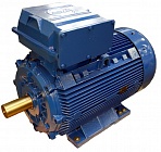 ����������� ��������� Marelli Motori B5C (315 - 500 ��)