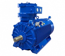 ���������������� ��������� Marelli Motori D6K, D5K, D5R (Ex d)